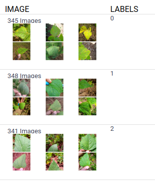 HuggingFace Dataset