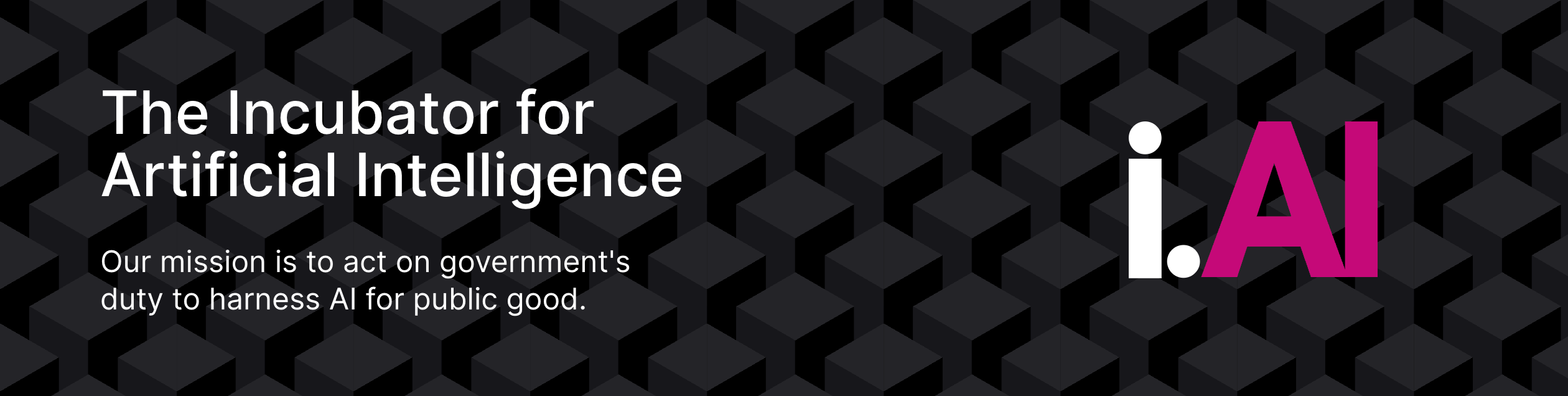 The Incubator for Artificial Intelligence. Our mission is to act on government's duty to harness AI for public good.