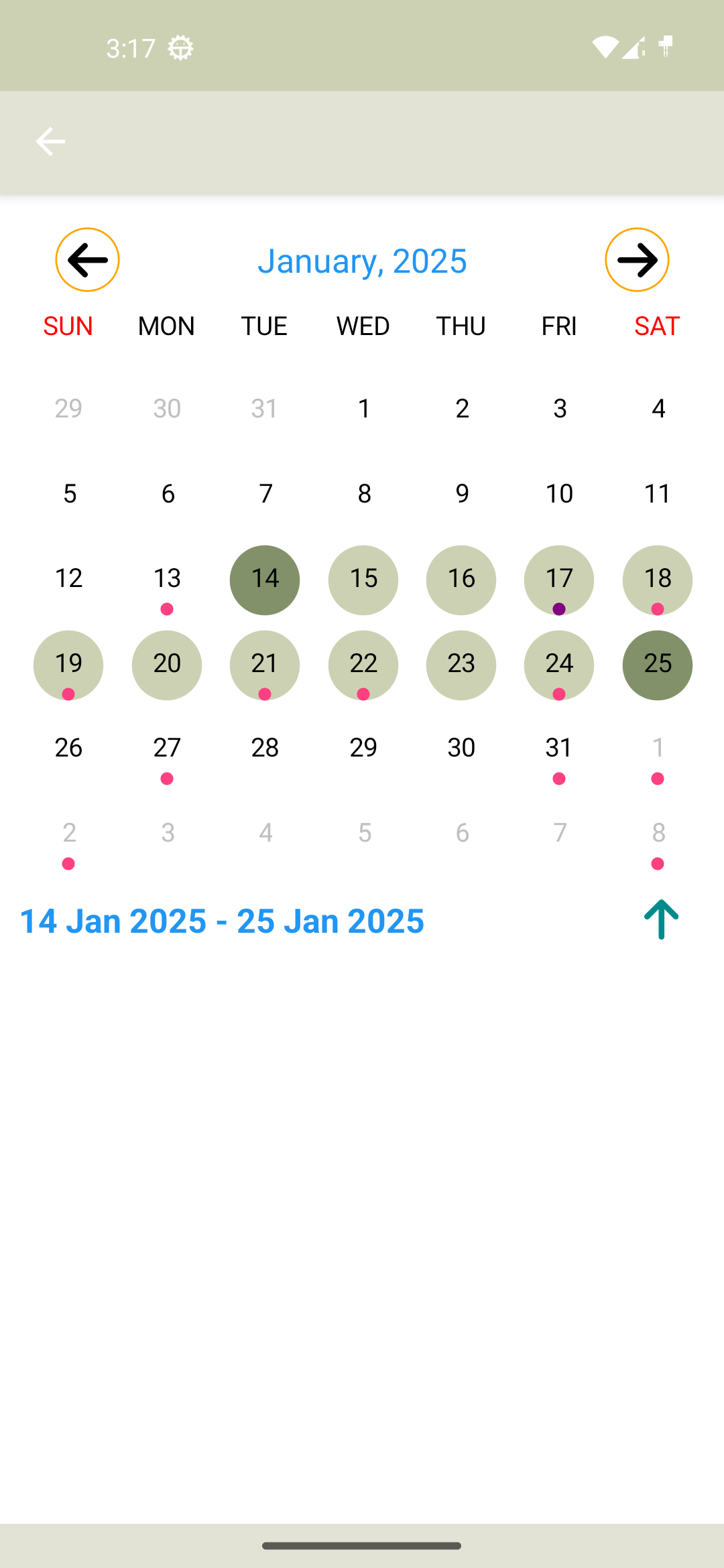 Android Calendar Screenshot